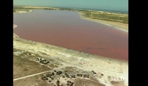 Senegal : Le lac Rose