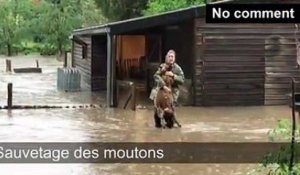 Inondations historiques a Blegny-Saive.... - Circuits Sainte-Julienne Meuse-Vesdre