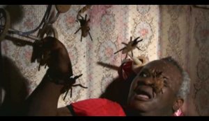 Fort Boyard : Magloire terrifié par des insectes, il perd ses moyens (Vidéo)