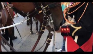 Découvrez l'étonnant repas des chevaux de la garde Républicaine (vidéo)