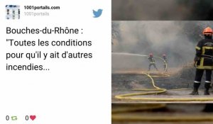 Incendie dans les Bouches-du-Rhône : 800 hectares de forêt brûlés