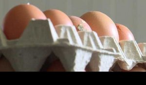 Crise des œufs contaminés au fipronil : le point en 7 infos