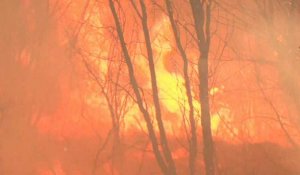 Incendies : le Portugal de nouveau ravagé par les flammes