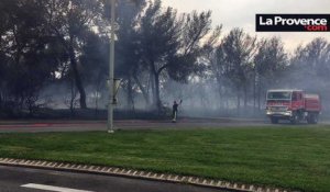 Incendie à Lavalduc près d'Istres : des quartiers évacués, de 15 à 20 hectares parcourus