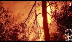 Alpes-Maritimes et Corse : D'importants incendies ravagent plusieurs hectares (vidéo) 