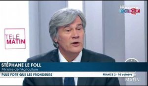 Stéphane Le Foll ironise sur la candidature des frondeurs ''Vous croyez que vous avez une chance de convaincre les Français ?''