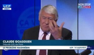 Claude Goasguen crée la polémique en déclarant que la France a ''un problème avec les maghrébins''
