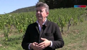 Deux viticulteurs créent une cuvée spéciale en soutien à Jean-Luc Mélenchon