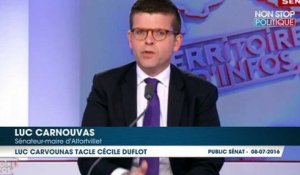 Luc Carvounas tacle Cécile Duflot candidate à l'élection présidentielle