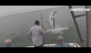 Un grand requin blanc bondit pour voler un poisson aux pêcheurs (vidéo)