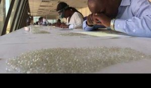 Namibie : Les diamants de la mer