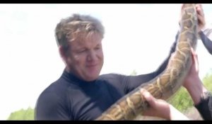 Gordon Ramsay chasse le python avec son fils avant de le cuisiner (vidéo)