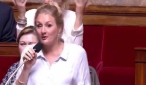 Assemblée nationale : Un député adresse un "cri de chèvre" à Alice Thourot (LREM) en pleine séance (vidéo)