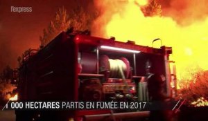 Portugal: 141 000 hectares partis en fumée en 2017