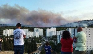 Feu d'Aubagne : les flammes ravagent la forêt