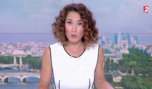 Marie-Sophie Lacarrau victime d'un gros bug au 13h - ZAPPING TÉLÉ BEST OF DU 25/07/2017