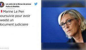 Demande d'expertise psychiatrique publiée sur Twitter. Poursuite judiciaire à l'encontre de Marine le Pen.