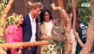 Meghan Markle enceinte : le prince Harry et la duchesse "prêts et excités"