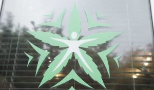 Au Canada, la santé publique à l'épreuve du cannabis légalisé