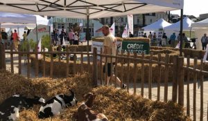 Le Mans. La Ferme Naturell'Mans a ouvert ses portes jusqu'à samedi soir