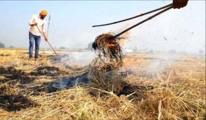 Pollution: en Inde, les brûlis agricoles font tousser New Delhi