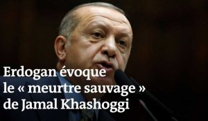Le « meurtre sauvage » de Khashoggi était « planifié »