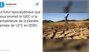 Urgence climatique : le rapport du GIEC.