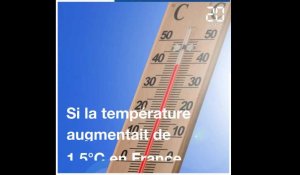 Voici à quoi ressemblera la France si la température augmente de 1,5 degré