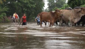 Inondations au Salvador: trois morts et plus de 700 évacués