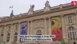 Le Catalan Joan Miró au Grand Palais à Paris