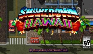 Shakedown : Hawaii - Présentation du jeu