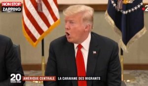 Donald Trump qualifie les migrants de "criminels" et reparle de son mur (vidéo)