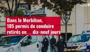 VIDÉO. Dans le Morbihan, 105 permis de conduire retirés en… dix-neuf jours