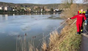 Ham-sur-Meuse : une voiture tombe à l’eau dans la Meuse