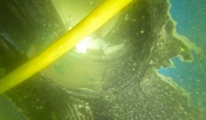 VIDÉO. Arkéa Ultim Challenge : plongée dans les dégâts à bord du SVR-Lazartigue de Tom Laperche