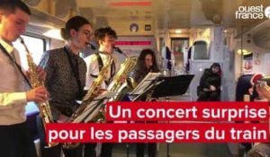 VIDÉO. Entre Les Sables-d'Olonne et Nantes, un concert de saxophones pour les passagers du train