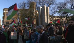 Des manifestants pro-palestiniens devant la Cour internationale de justice à La Haye