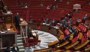 IVG dans la Constitution: ouverture des débats à l'Assemblée nationale