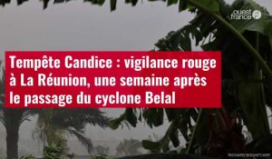 VIDÉO. Tempête Candice : vigilance rouge à La Réunion, une semaine après le passage du cyc