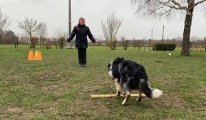 Sylvie et son chien Syrius préparent les championnats de France d’obéissance 