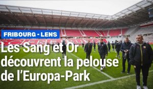 RC Lens : les Lensois reconnaissent la pelouse de Fribourg