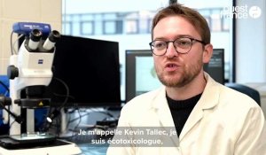 VIDÉO. Ingénieur environnement, Kevin Tallec traque les pollutions maritimes