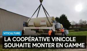 En pleine croissance, la coopérative vinicole de Colombé-le-Sec veut monter en gamme 