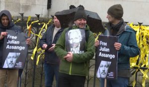 Les partisans d'Assange se rassemblent devant la Haute Cour au deuxième jour de l'audience