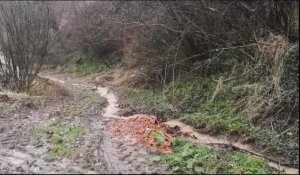 Ouve-Wirquin : un talus s'effondre sur la route départementale