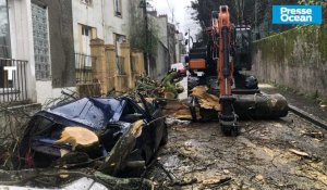 VIDÉO. Tempête Louis : les élagueurs de Nantes enlèvent l'arbre qui a pulvérisé la Twingo