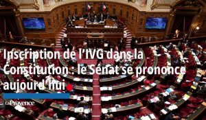 Inscription de l’IVG dans la Constitution : le Sénat se prononce aujourd’hui