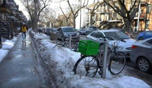 Canada : record de chaleur au cœur de l'hiver à Montréal
