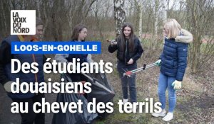 Des étudiants de la fac de Douai collectent les déchets sur les terrils de Loos-en-Gohelle