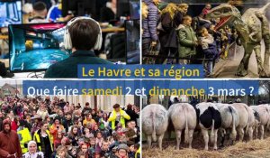 Le Havre et sa région. Que faire samedi 2 et dimanche 3 mars ?